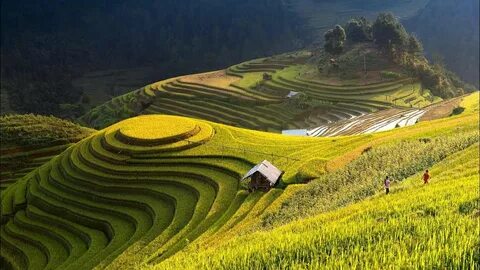 Học tiếng Anh và tìm thấy tình yêu: Câu chuyện của chị An và anh David