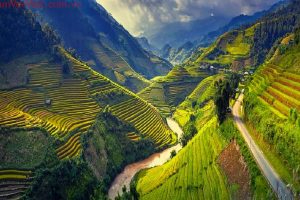 Hotspot Matrix và Nghiên Cứu: Người Phụ Nữ Không Ngủ 40 Năm